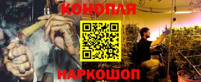 тгк Гусев