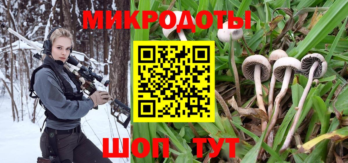 Галлюциногенные грибы Magic Shrooms Лыткарино