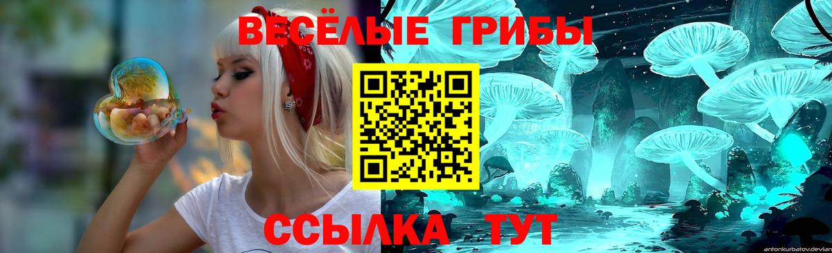 Псилоцибиновые грибы мухоморы  Вход с VPN  Лыткарино  цена   Галлюциногенные грибы Cubensis 