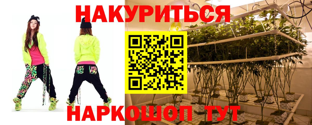 Канабис конопля Лыткарино